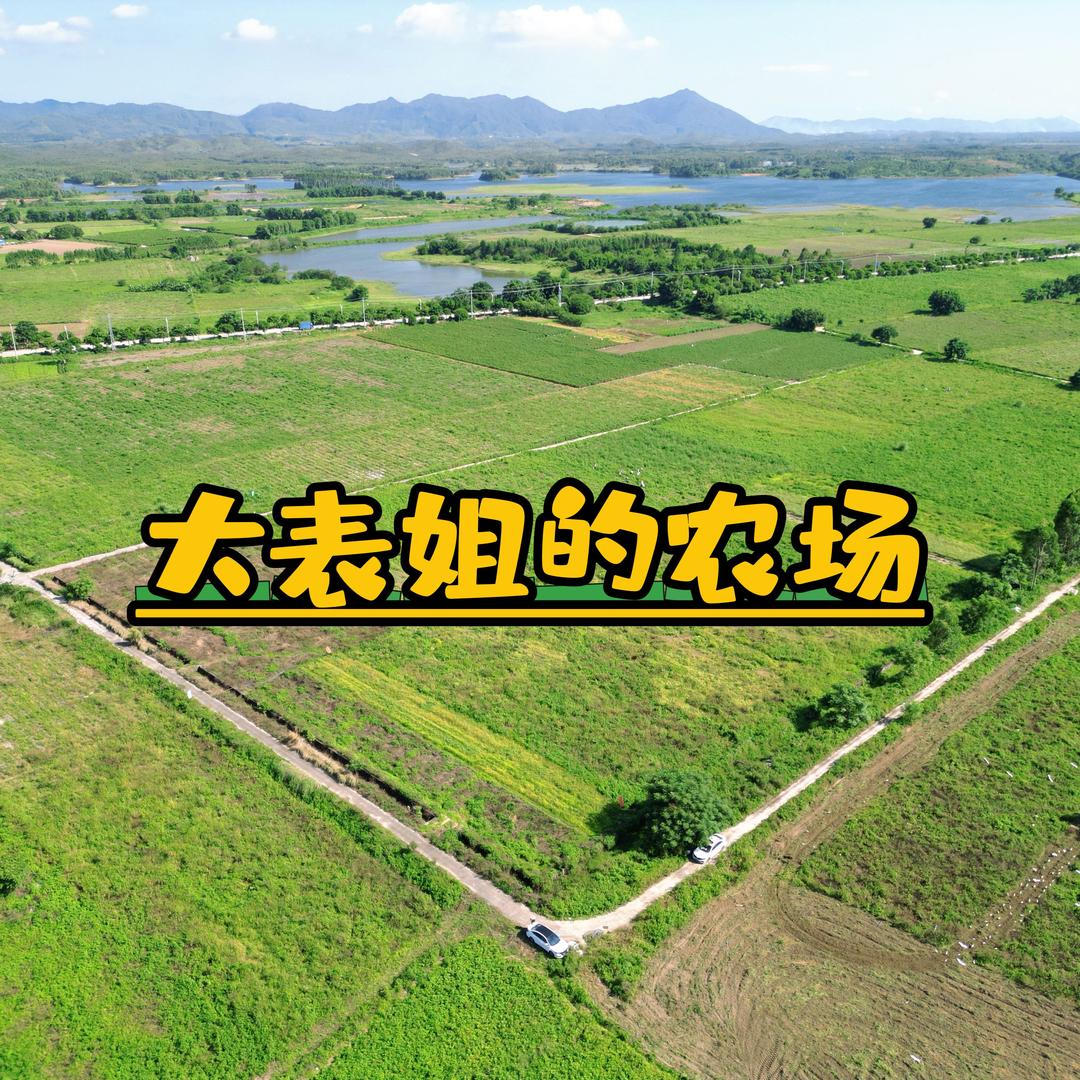 三农大表姐生鲜甄选