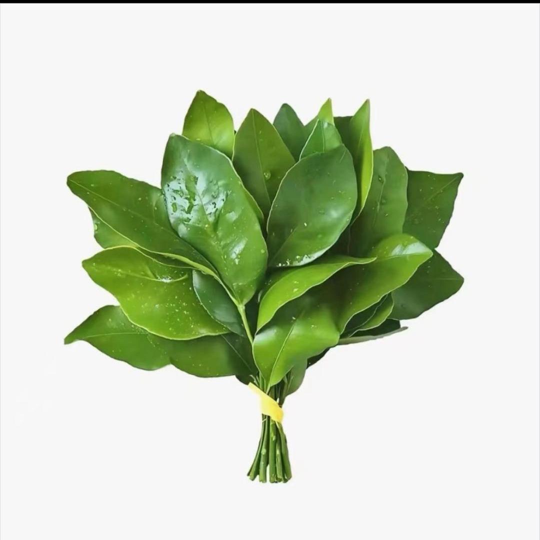 网恋被骗两百～