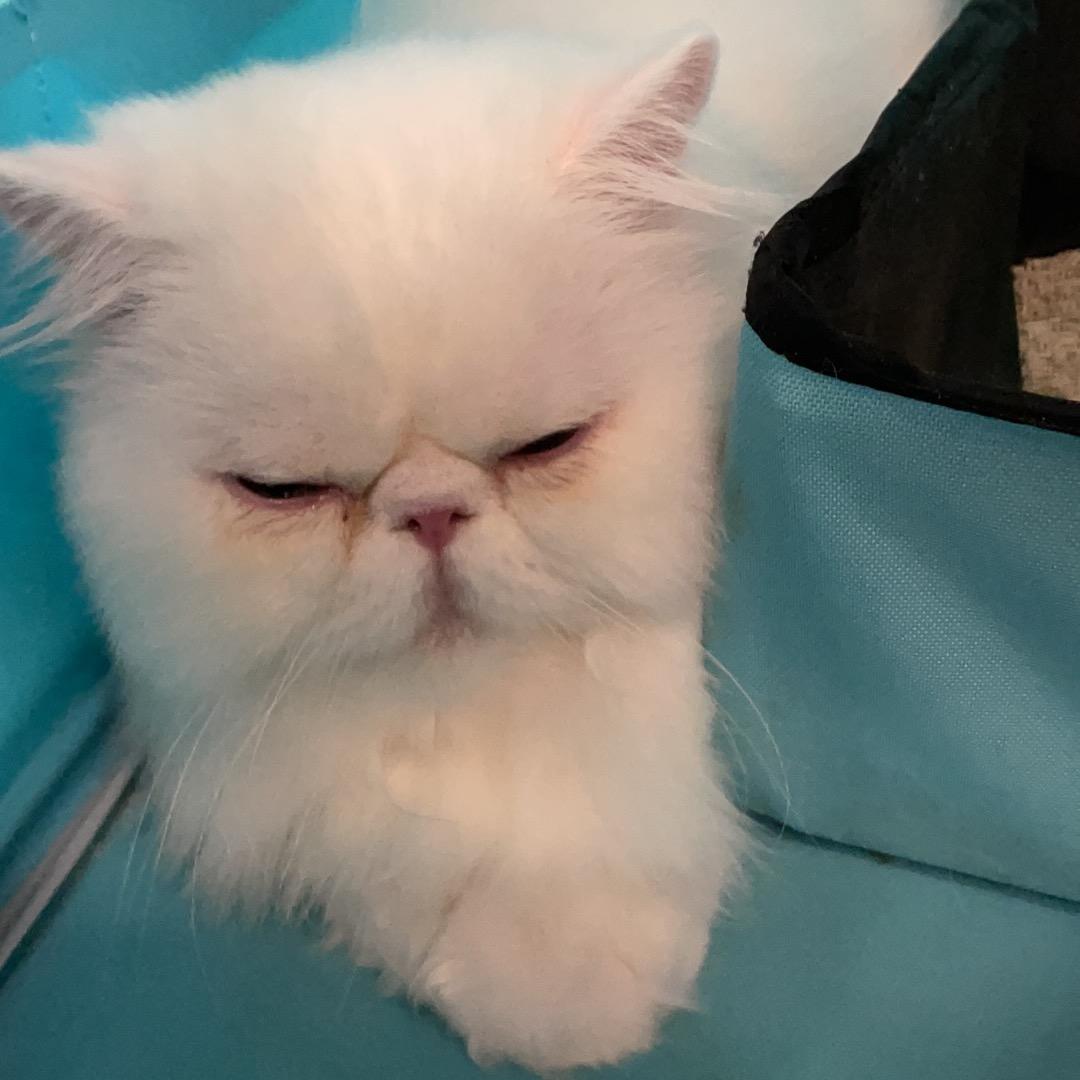 君☁️度