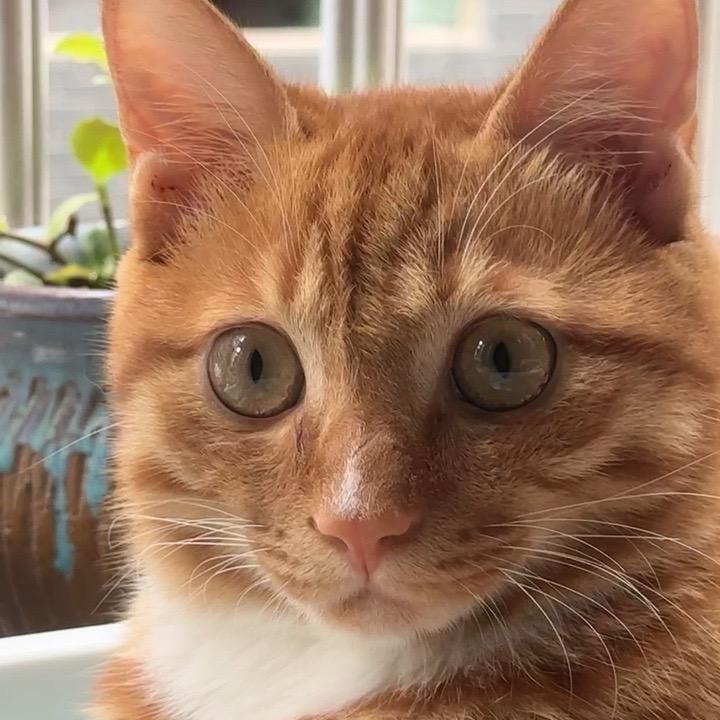 大家好 我是富婆财神爷的心尖上人