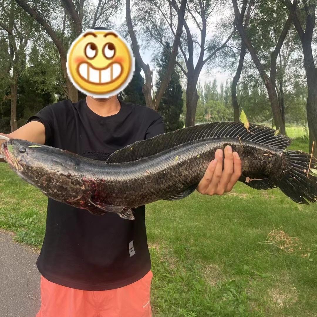 🎣护不湿先生.