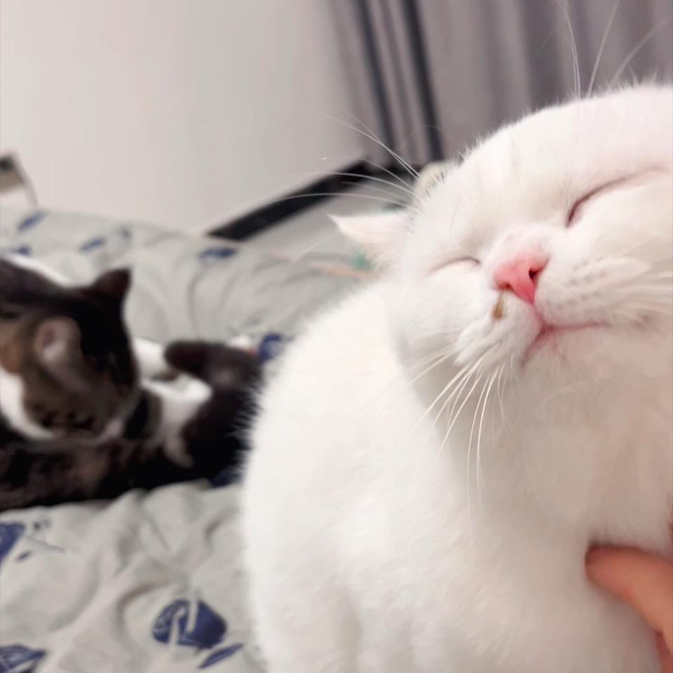 猪小妹🍑👑🍍