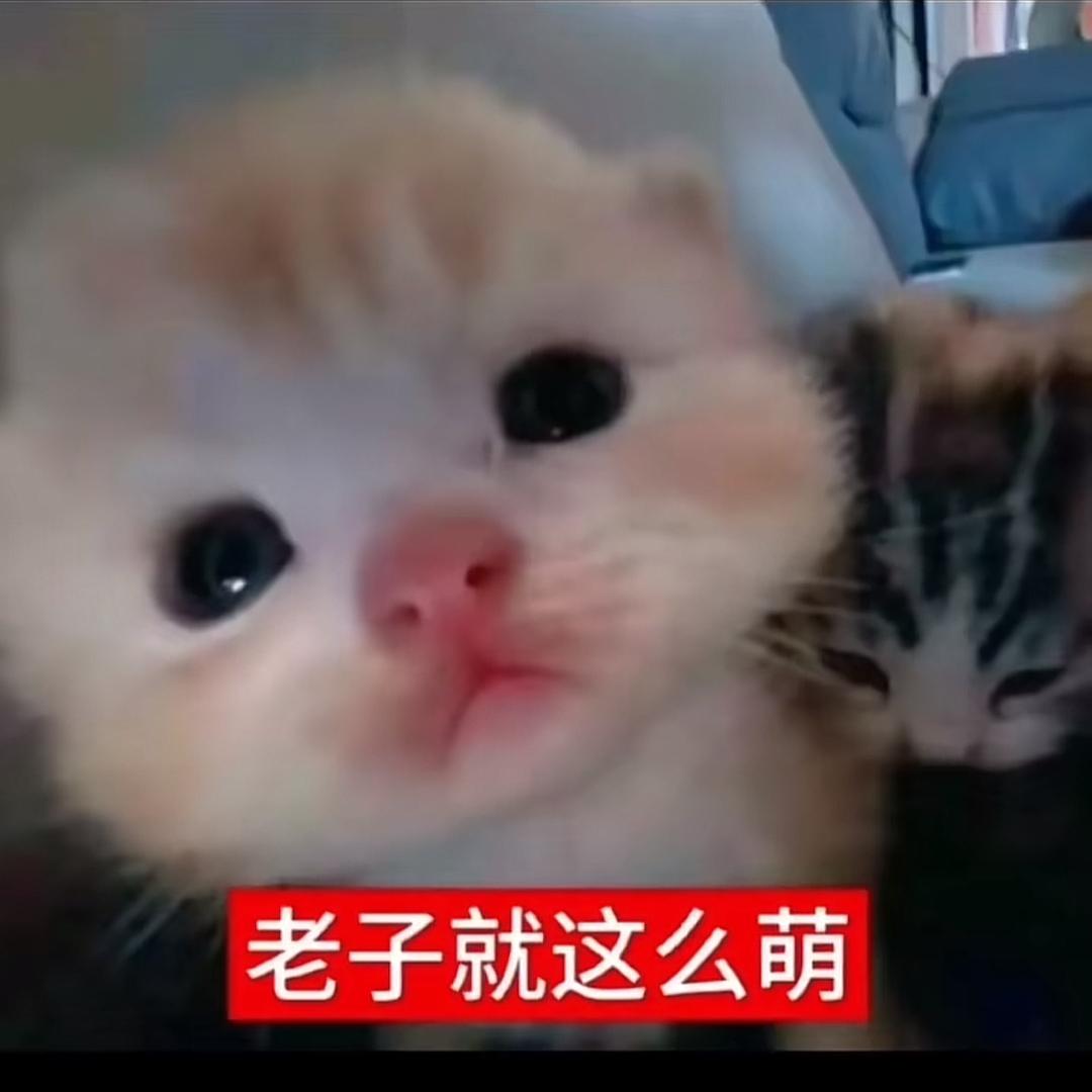 老子就这么萌