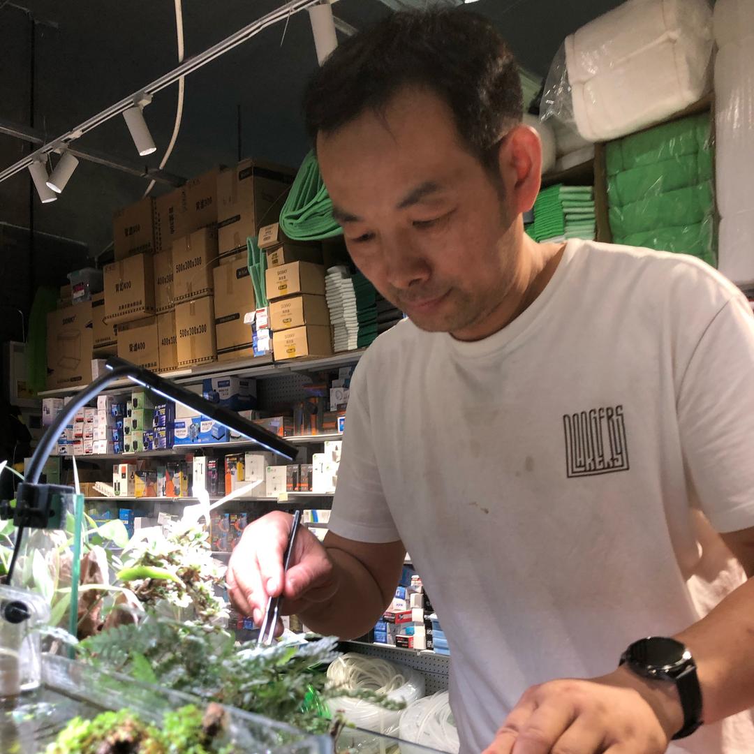 正经整景的老钱（沈阳高端造景）