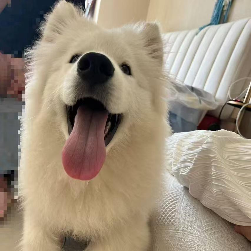 枭雄（就这样）