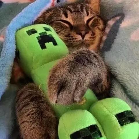 121