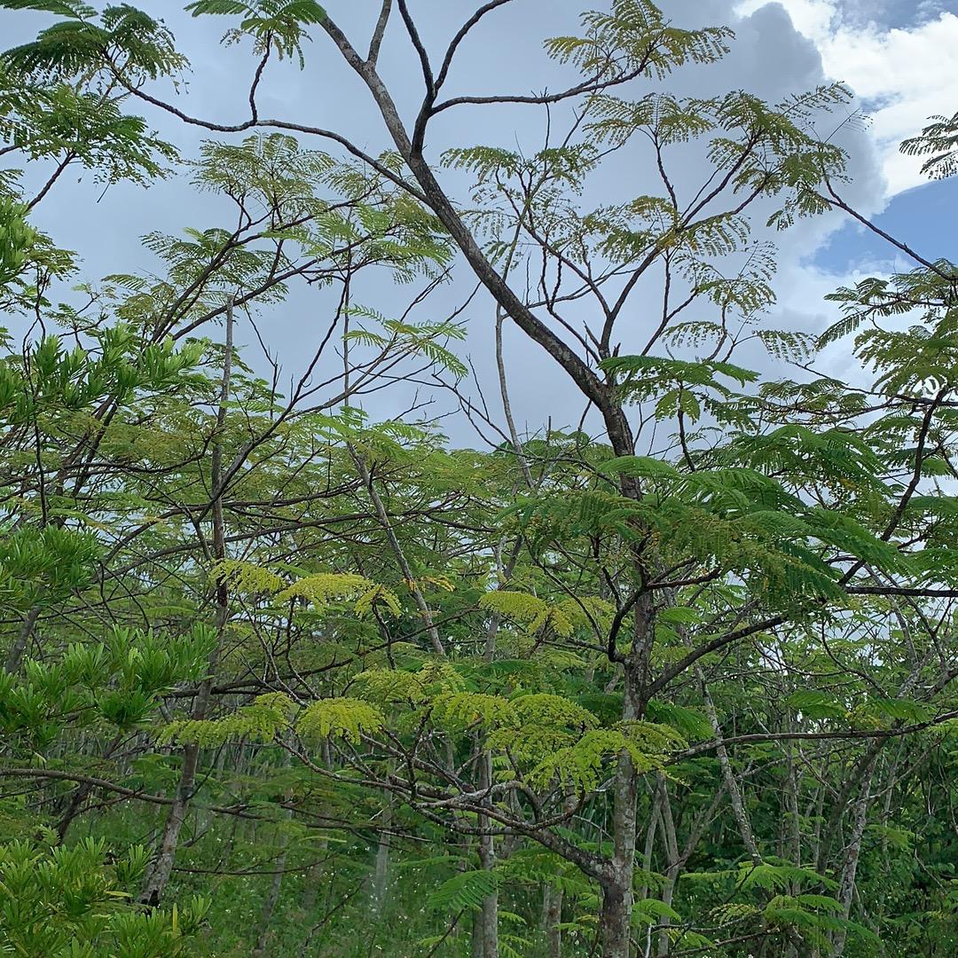 贤璐电子
