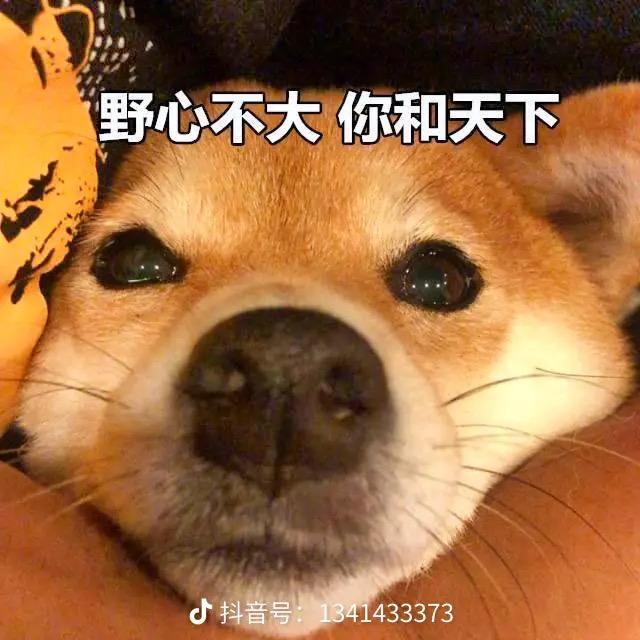 泪痣上的星光