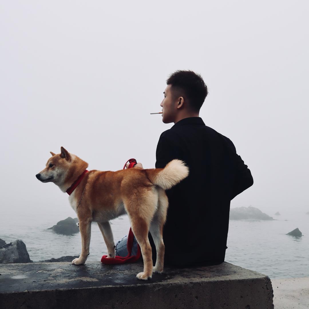 向往社会