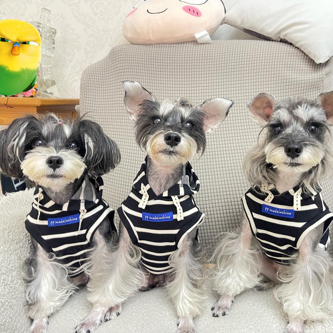 Lucky和她的女儿们