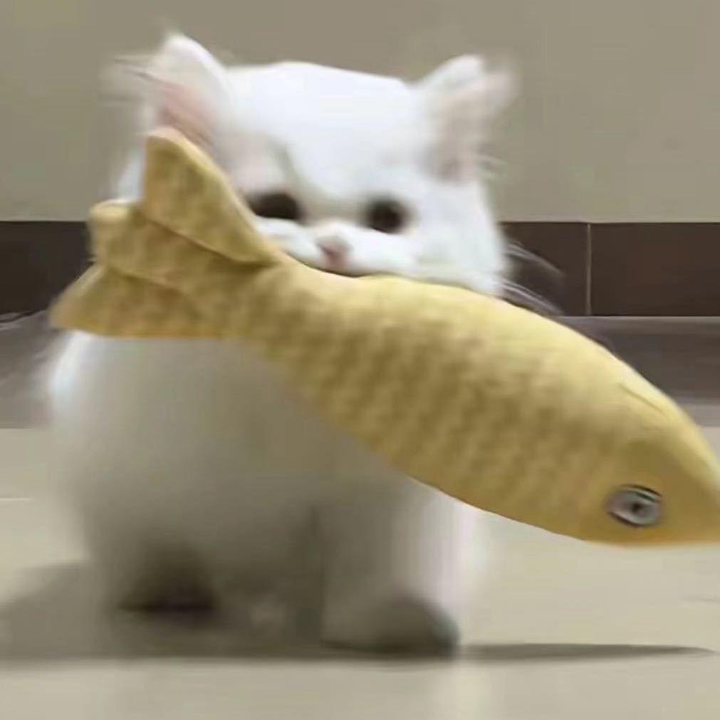 小张要天天开心