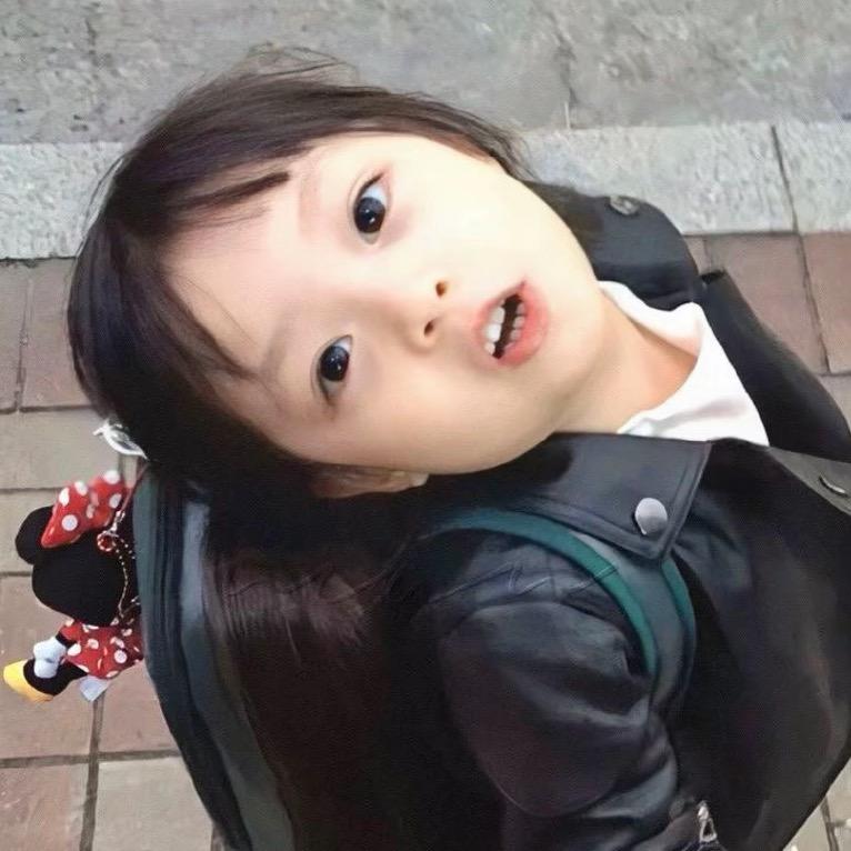 🧸维尼