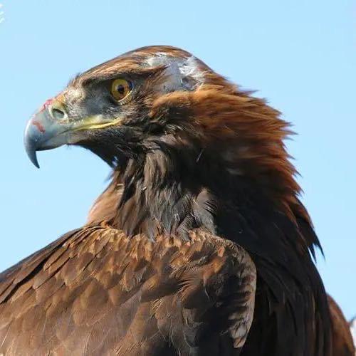 东明县鸣达法律服务中心