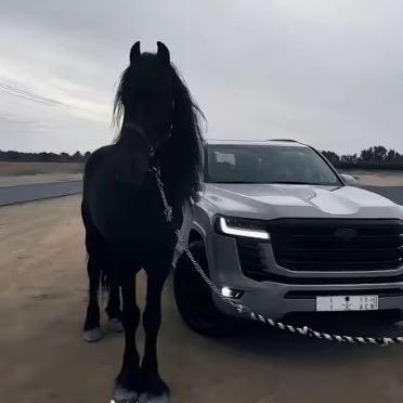 水枪装尿滋谁谁叫～