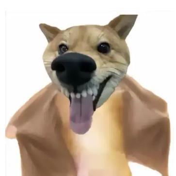 玉面手雷王