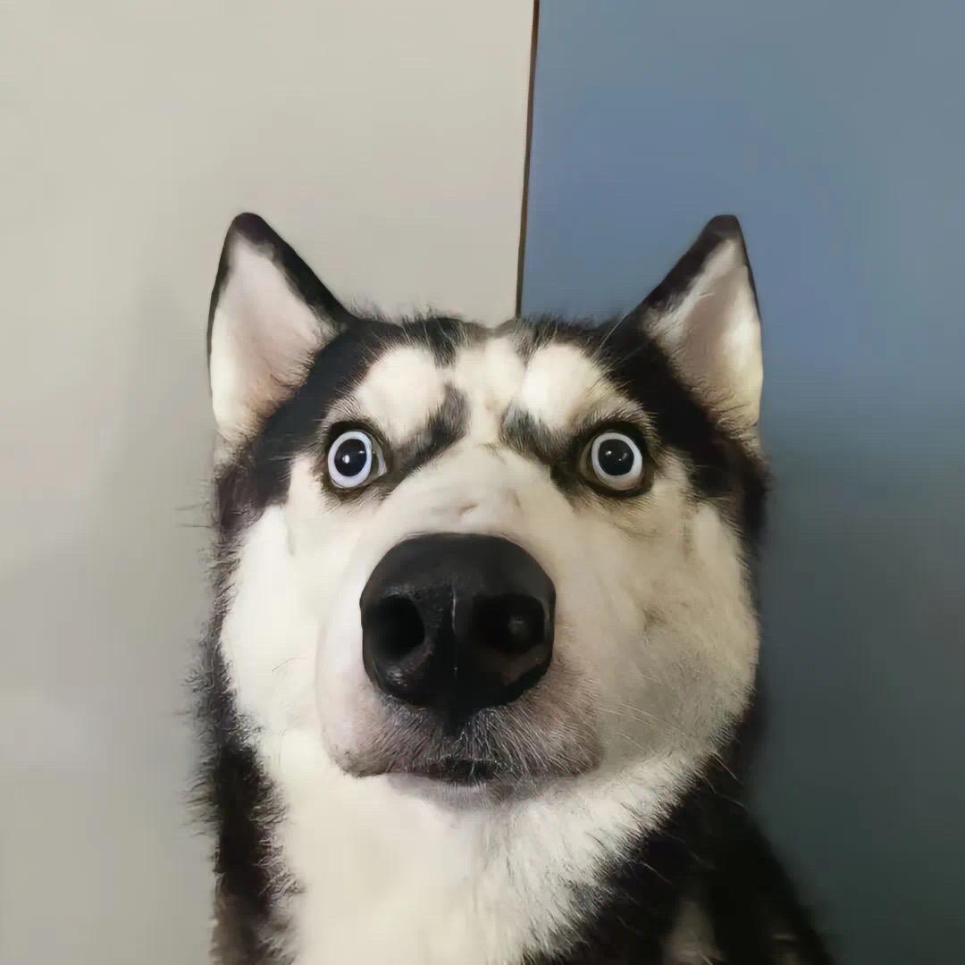 嘻哈.