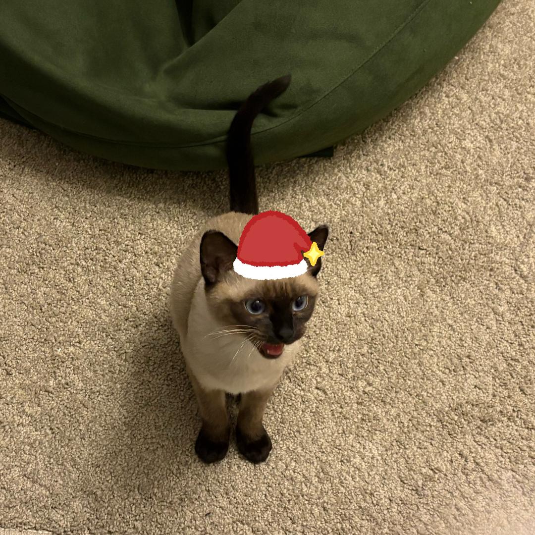 我还是去背书吧