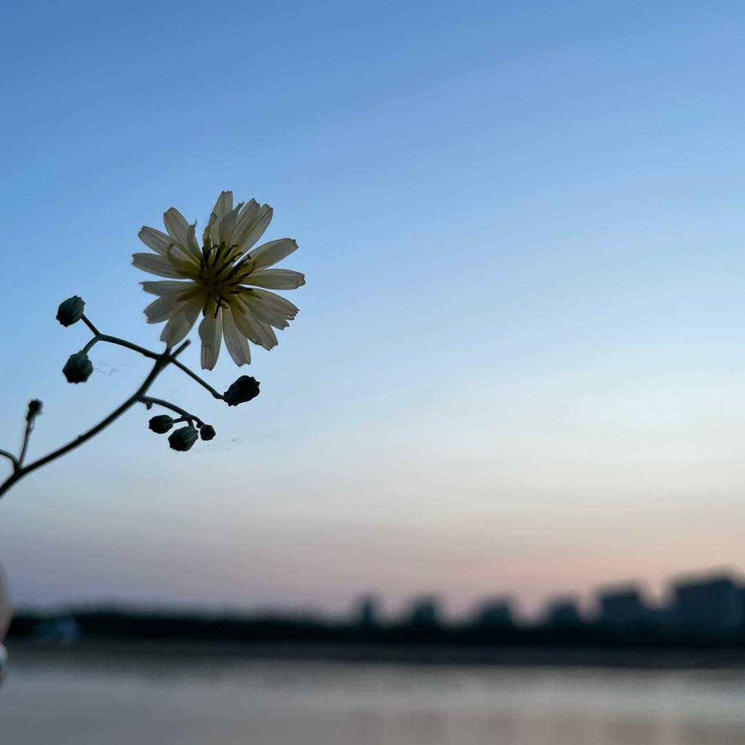 我叫无虑