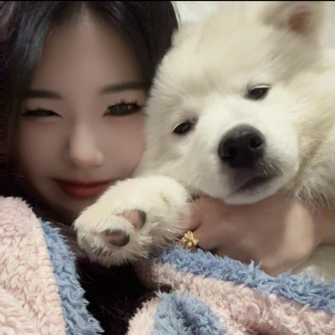 你好难哄