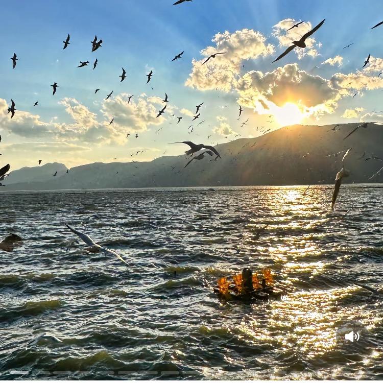 直播返场（已授权）