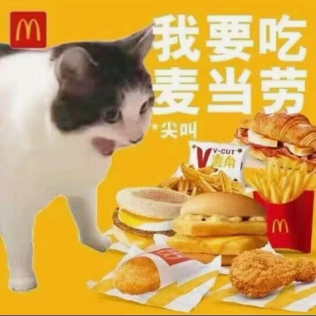 Monkey King 别太菜