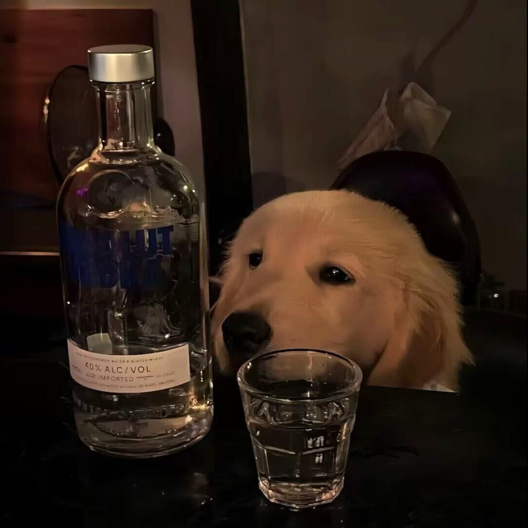 君悦.