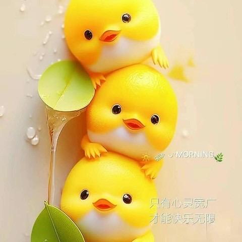 灵姐