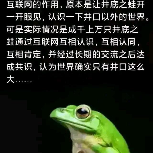 蚂蚁在路上9