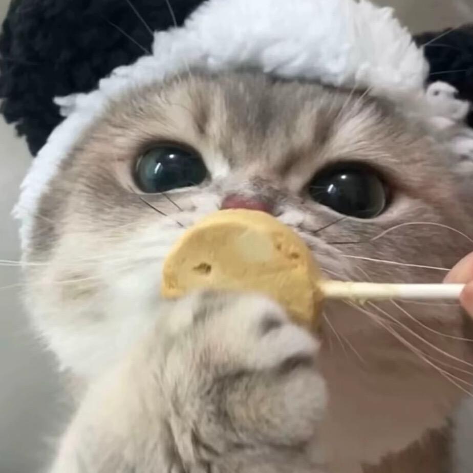 等