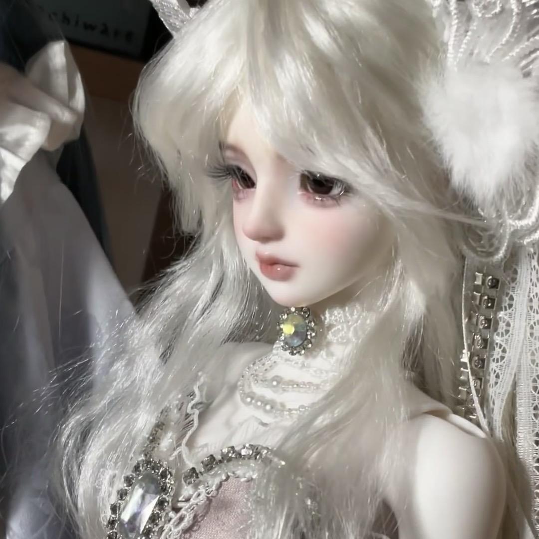 · 洋娃娃（挖藕兔宝宝🐰.）