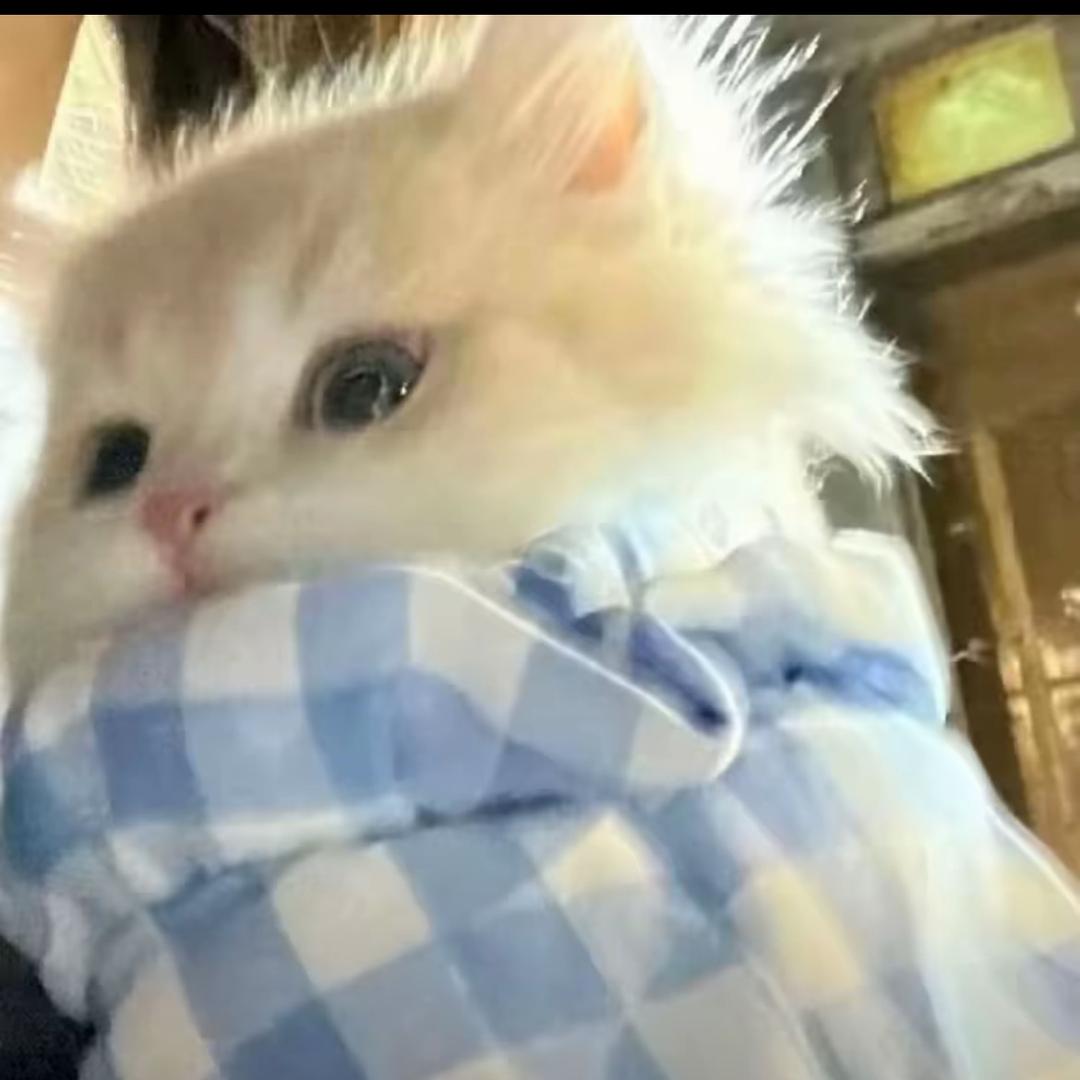 是橙子吖～