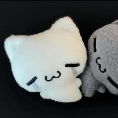 栖柒