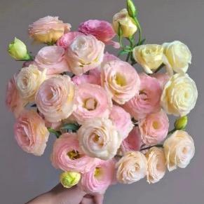 萍萍鲜花
