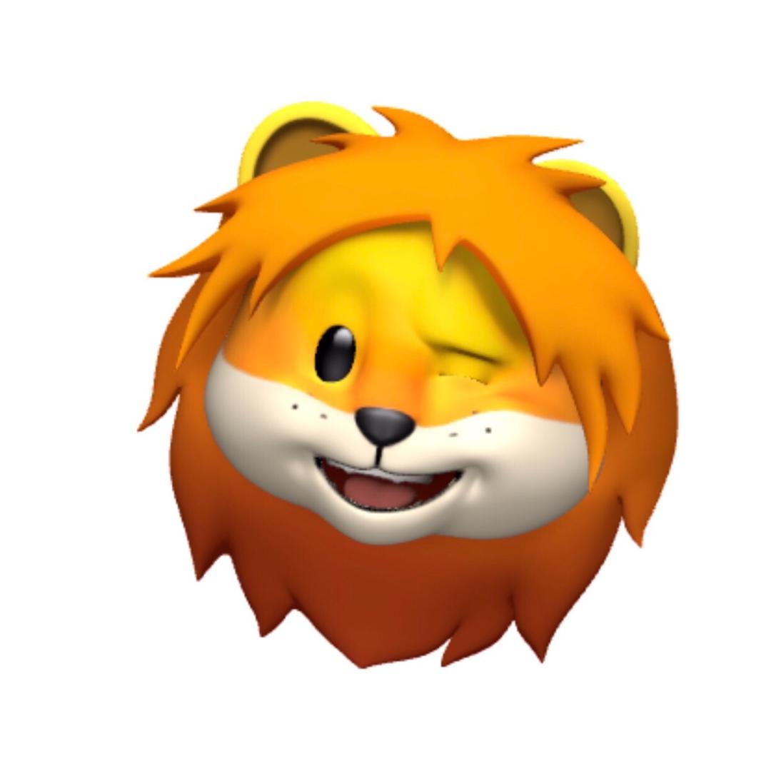 广工男篮粤狮队🦁️
