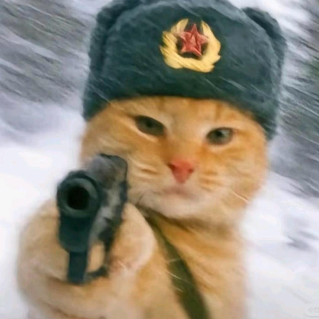 @共产主义接班人