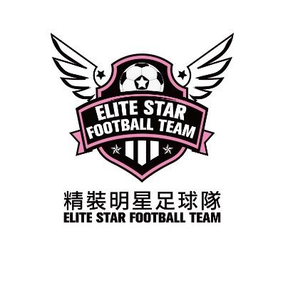 香港精装明星足球队
