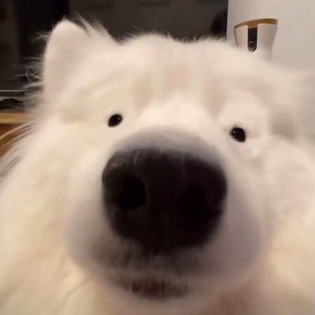 崎77