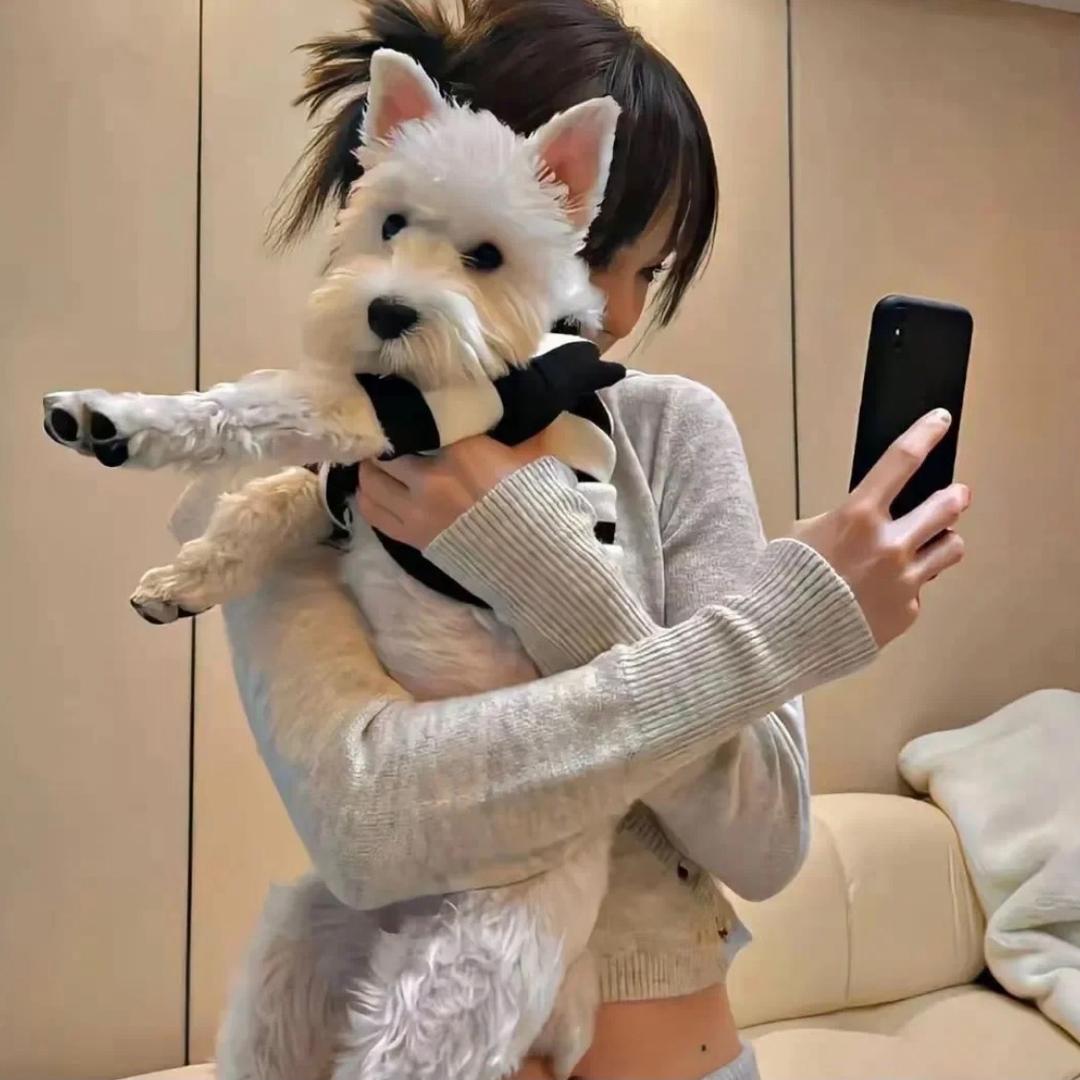 吃饱了睡-