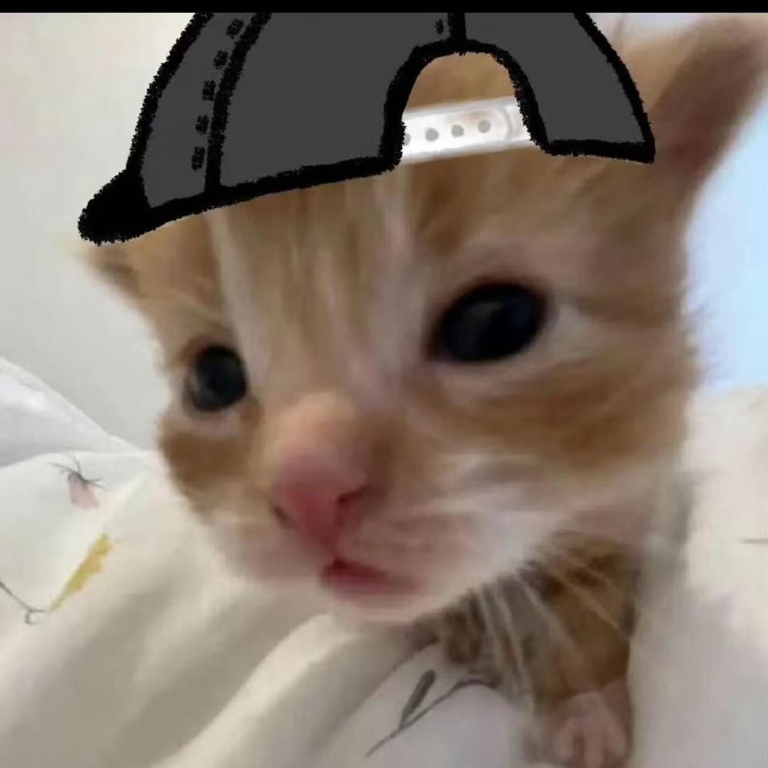 本末倒置