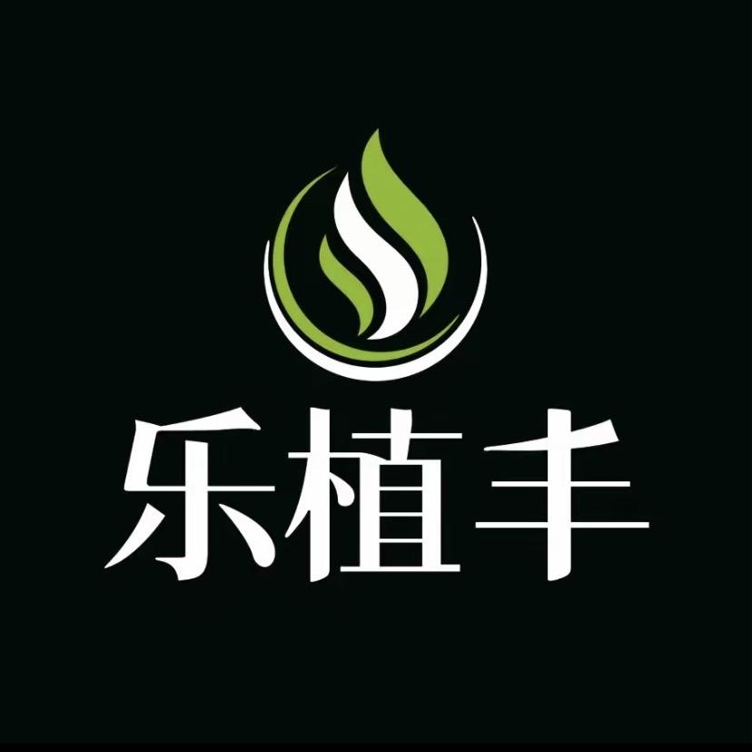 乐植丰工厂～桐❤️