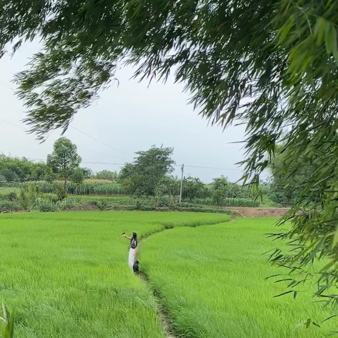 家住田边