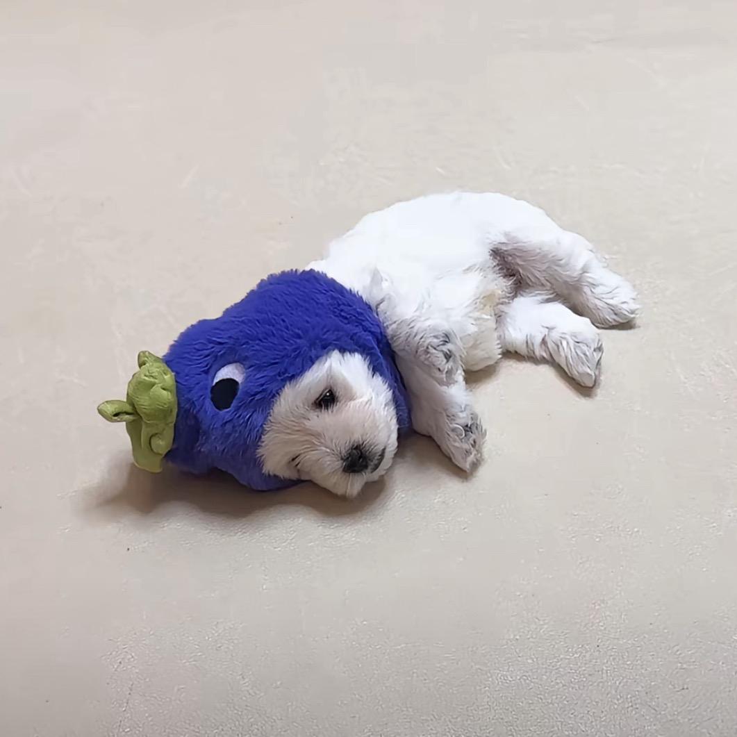小于又困了