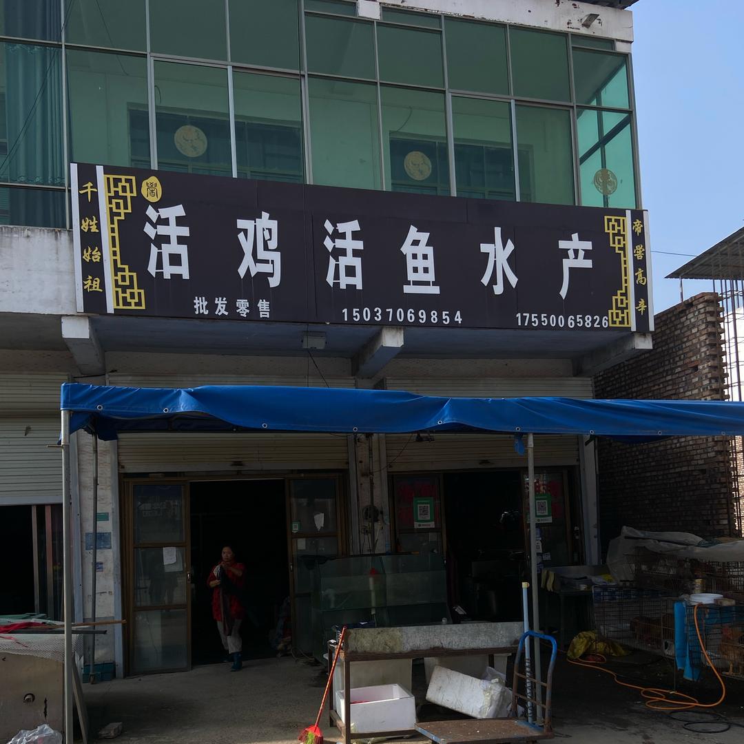 鸡鱼海鲜代做黄哥1