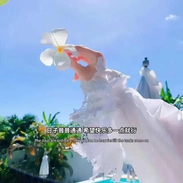 lily温暖阳光☀️