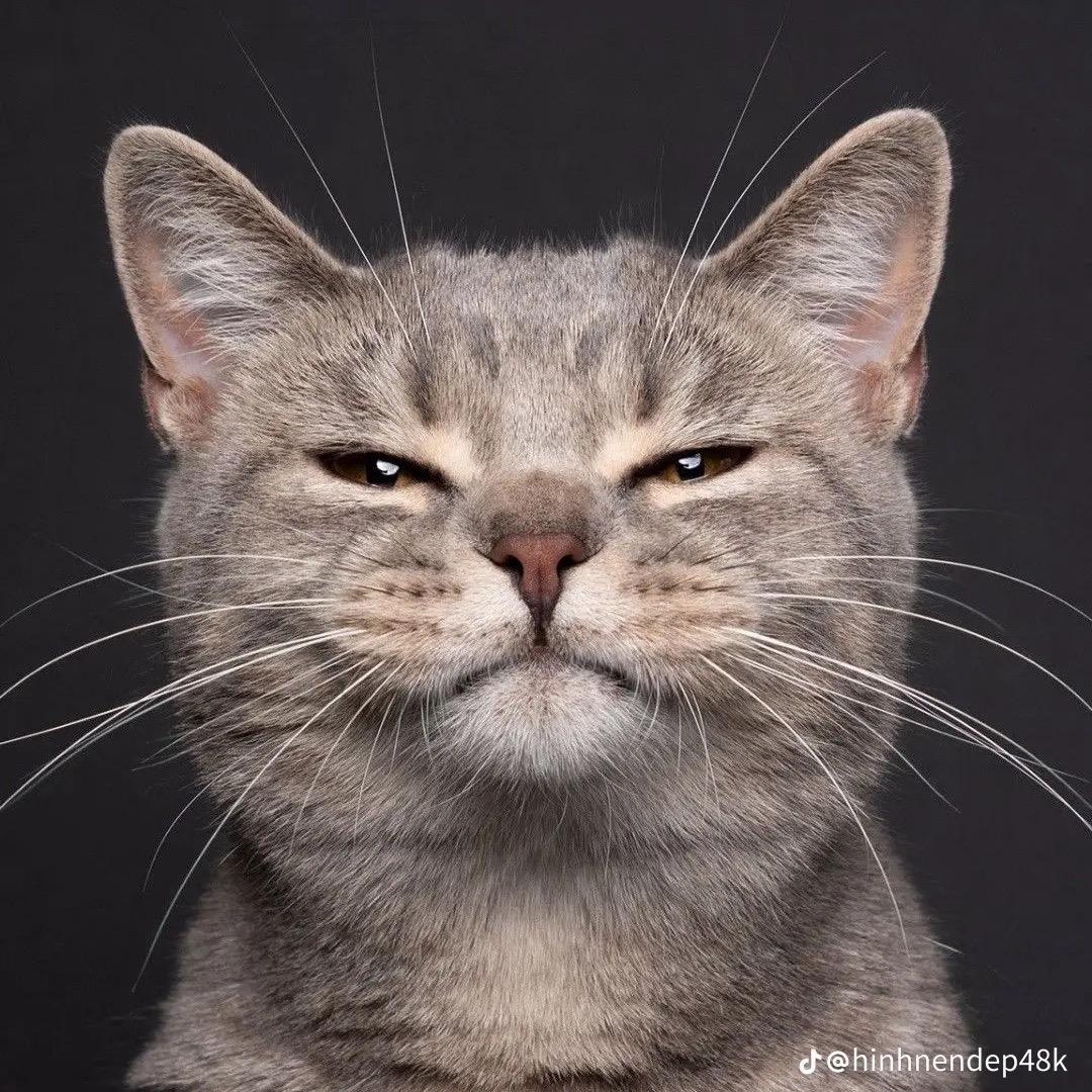 石狮元和手机配件批发，琼林中路112号