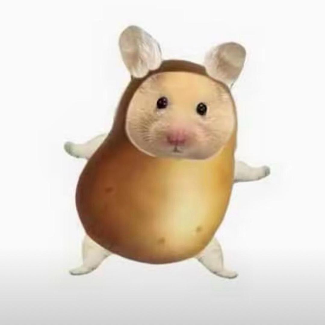八米佛公三碟打