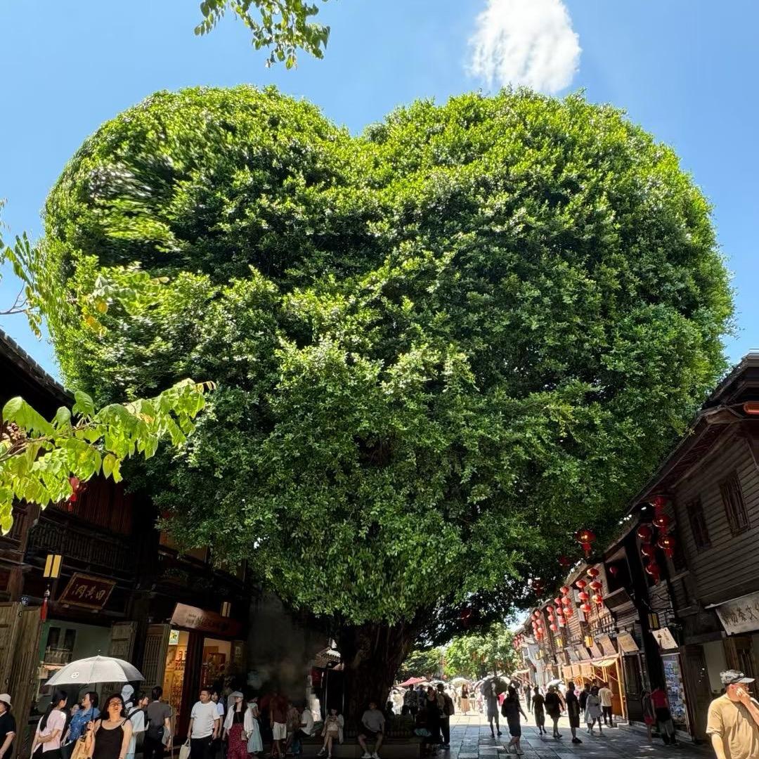🧃小豆芽