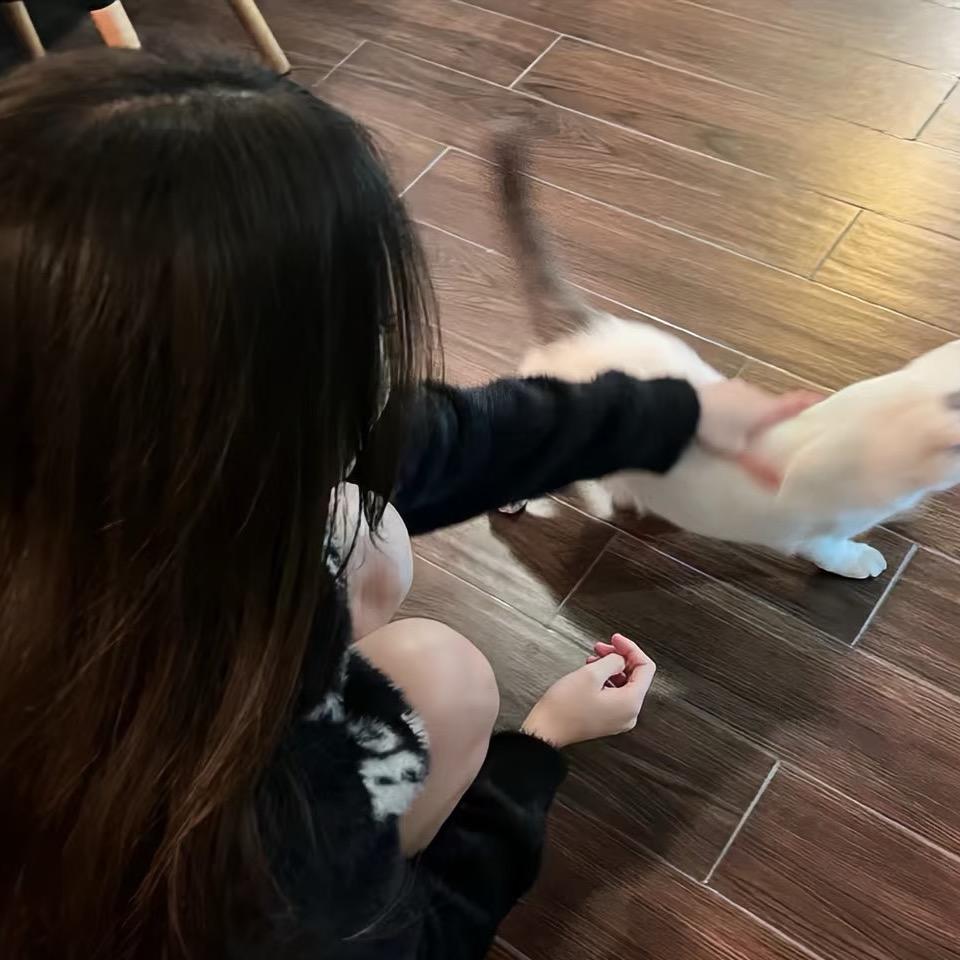 拉穆🎬