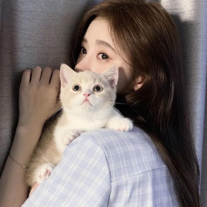✨杨大仙