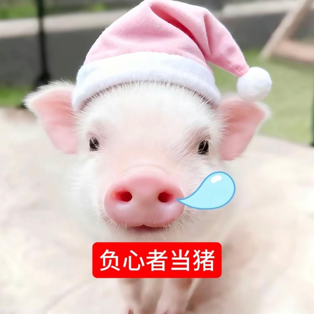 鸟之诗